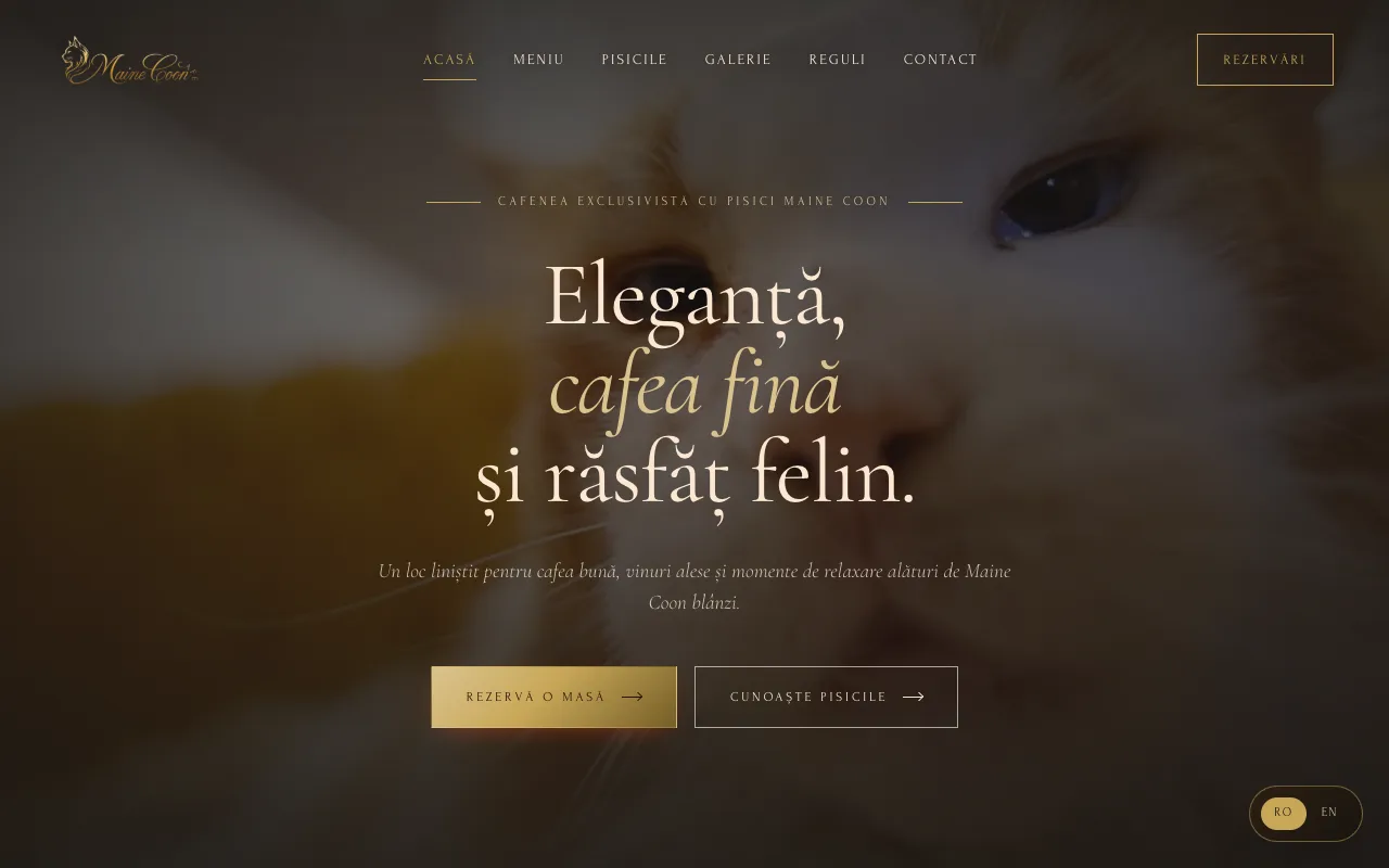 Site-ul Maine Coon Cafe pe desktop
